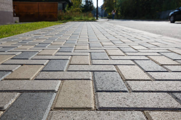 Best Local Driveway Pavers  in Coleman, MI
