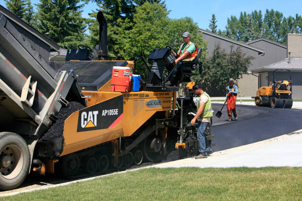 Best Driveway Pavers Cost  in Coleman, MI